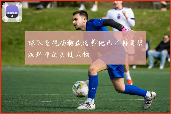 球队重视杨瀚森培养他已不再是短板环节的关键人物
